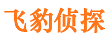 雨湖寻人公司